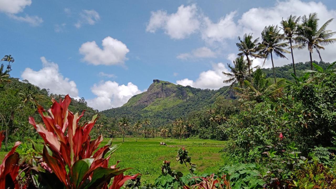 Maliyeckal Homestay Munnar Exteriér fotografie