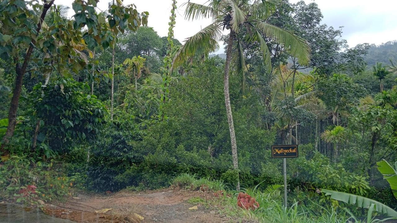 Maliyeckal Homestay Munnar Exteriér fotografie