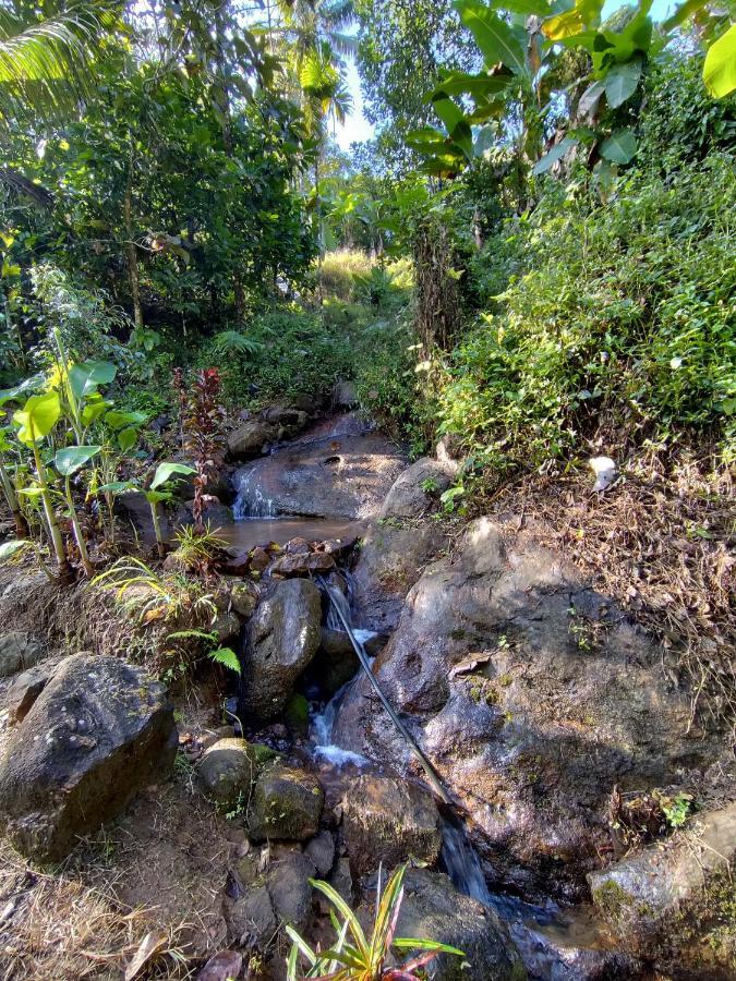 Maliyeckal Homestay Munnar Exteriér fotografie