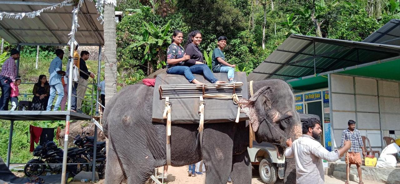 Maliyeckal Homestay Munnar Exteriér fotografie