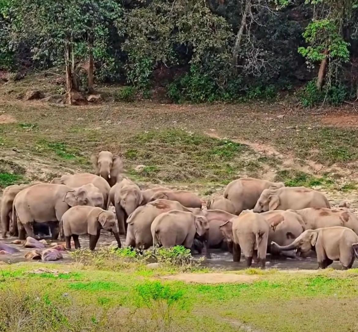 Maliyeckal Homestay Munnar Exteriér fotografie